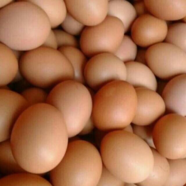 Telur Ayam 1KG